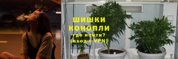 спайс Алзамай