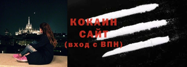 молекула духа Покров