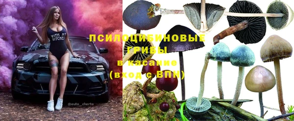 спайс Алзамай