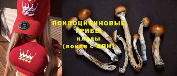 спайс Алзамай