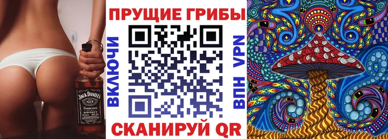 что такое наркотик OMG вход Галлюциногенные грибы мухоморы Дудинка